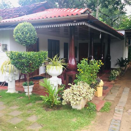 Malee Homestay بولاناروفاي المظهر الخارجي الصورة
