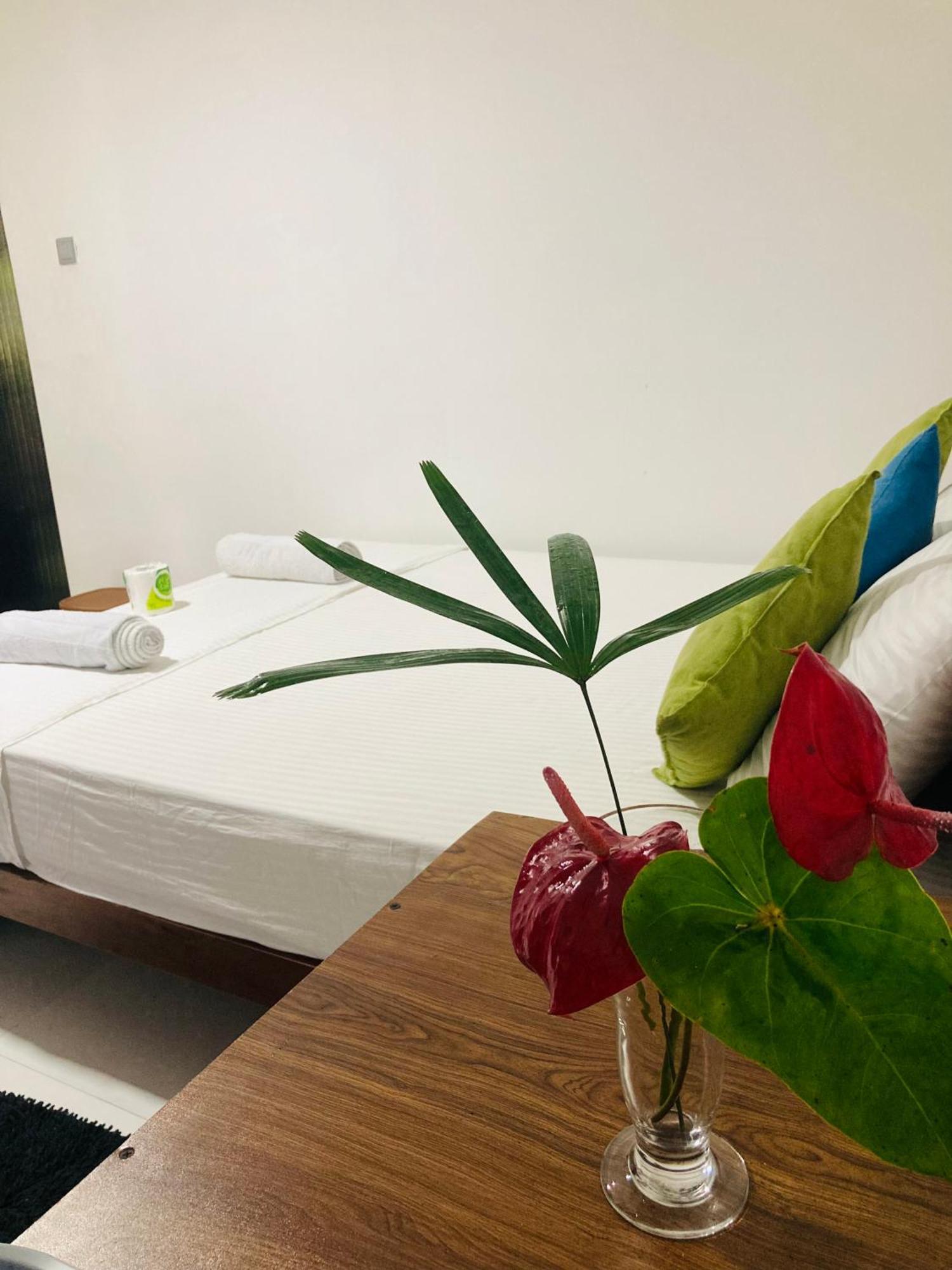 Malee Homestay بولاناروفاي المظهر الخارجي الصورة