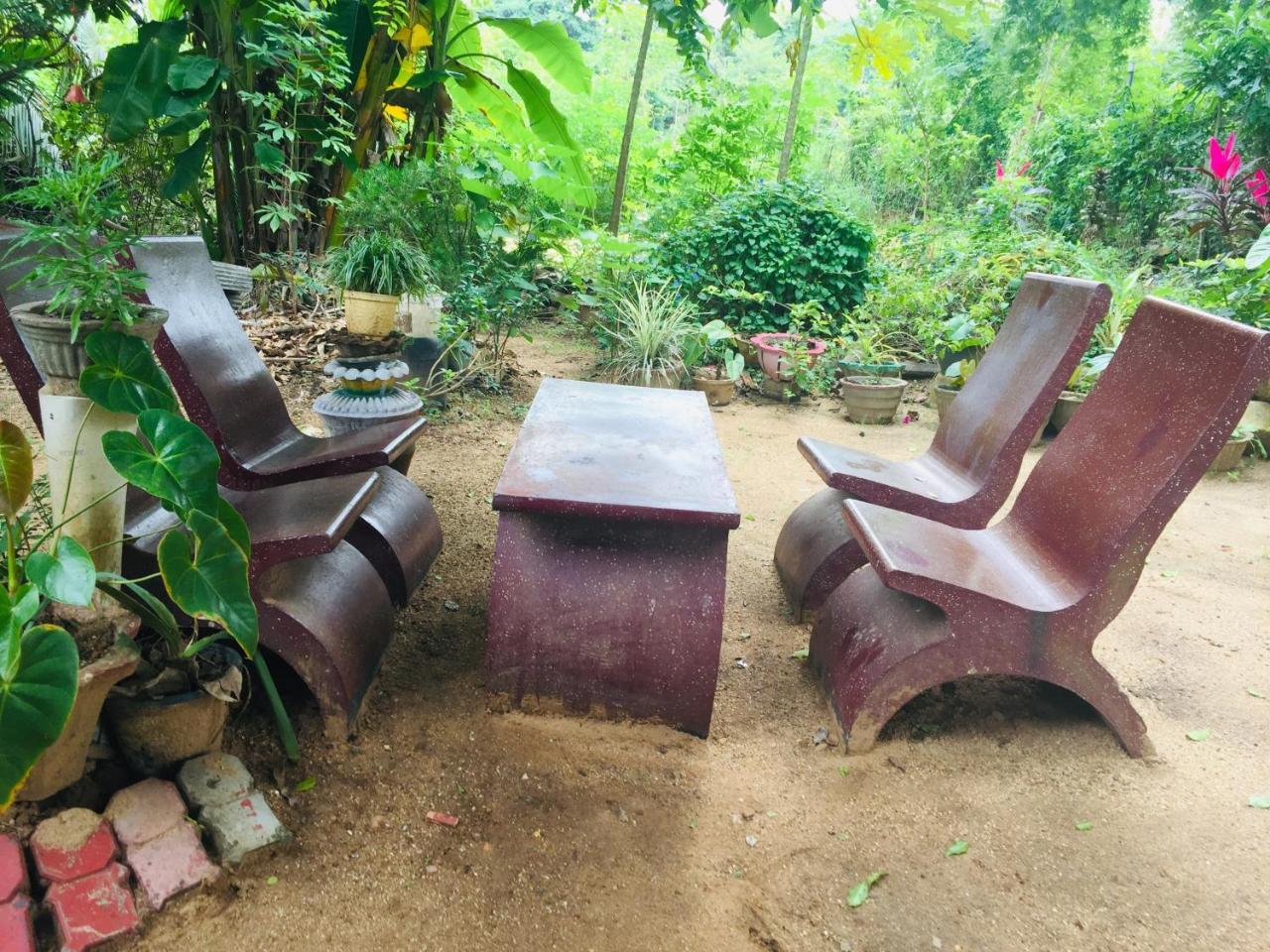 Malee Homestay بولاناروفاي المظهر الخارجي الصورة
